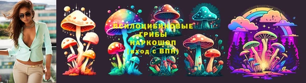 бошки Богданович